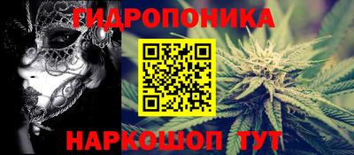 дживик Лесосибирск